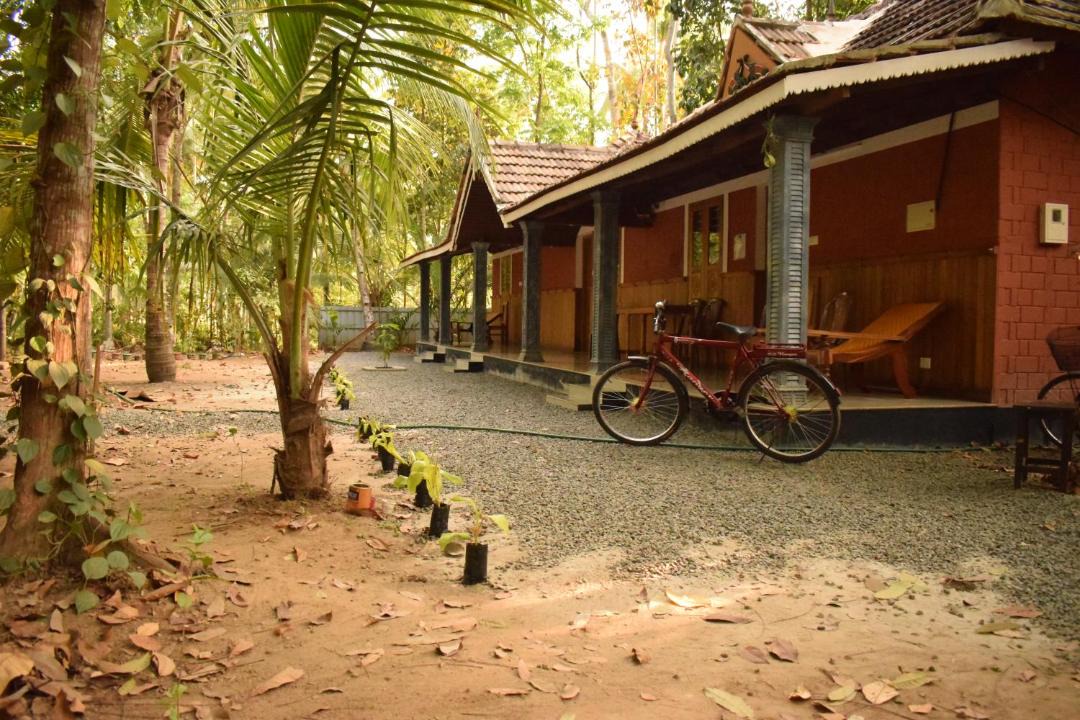 Photo of Others in Munroe Island