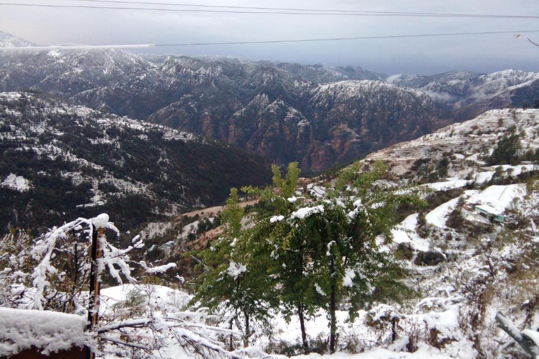 Photo of Others in Naldehra