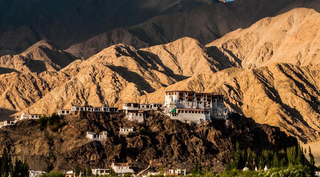 Photo of Others in Leh