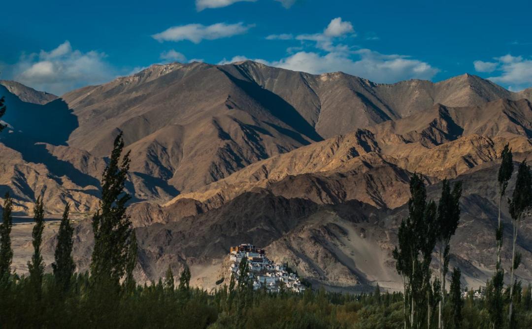 Photo of Others in Leh