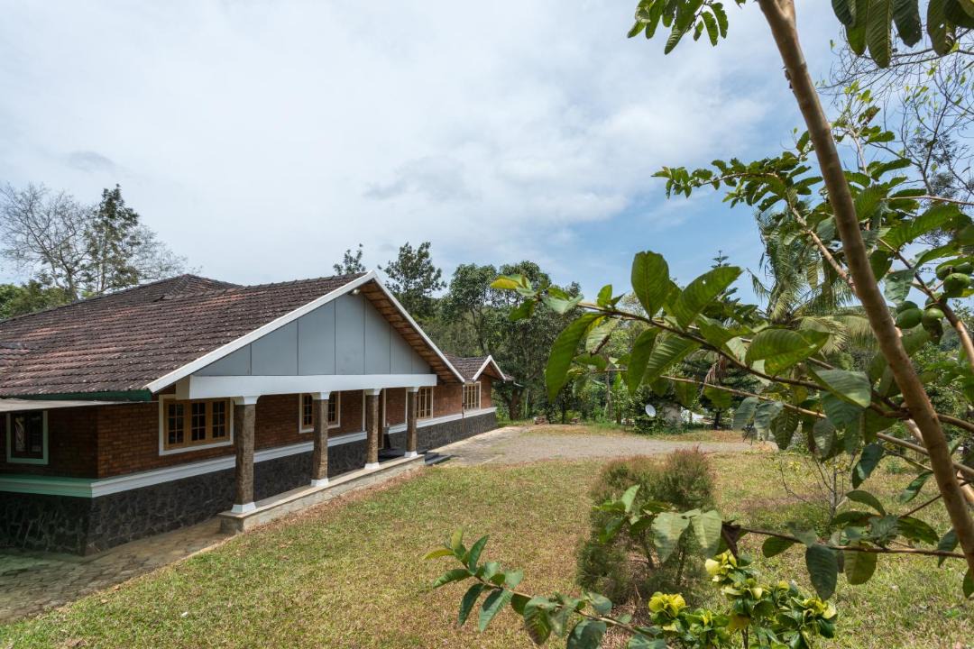 Photo of Buildings in Pirmed