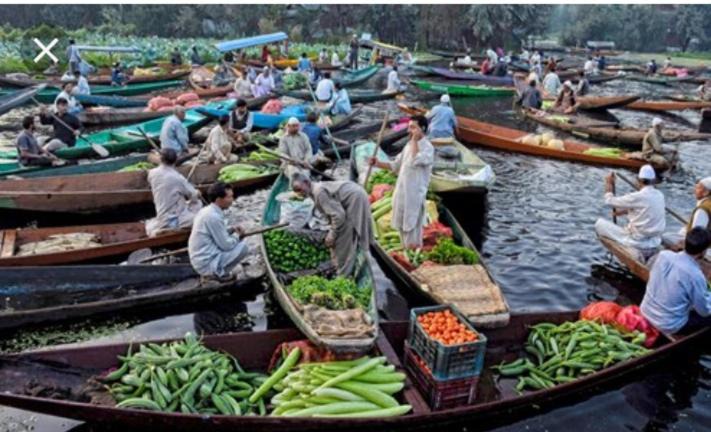 Photo of Others in Nagin Bagh