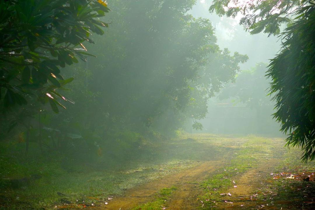 Photo of Others in Irinjalakuda