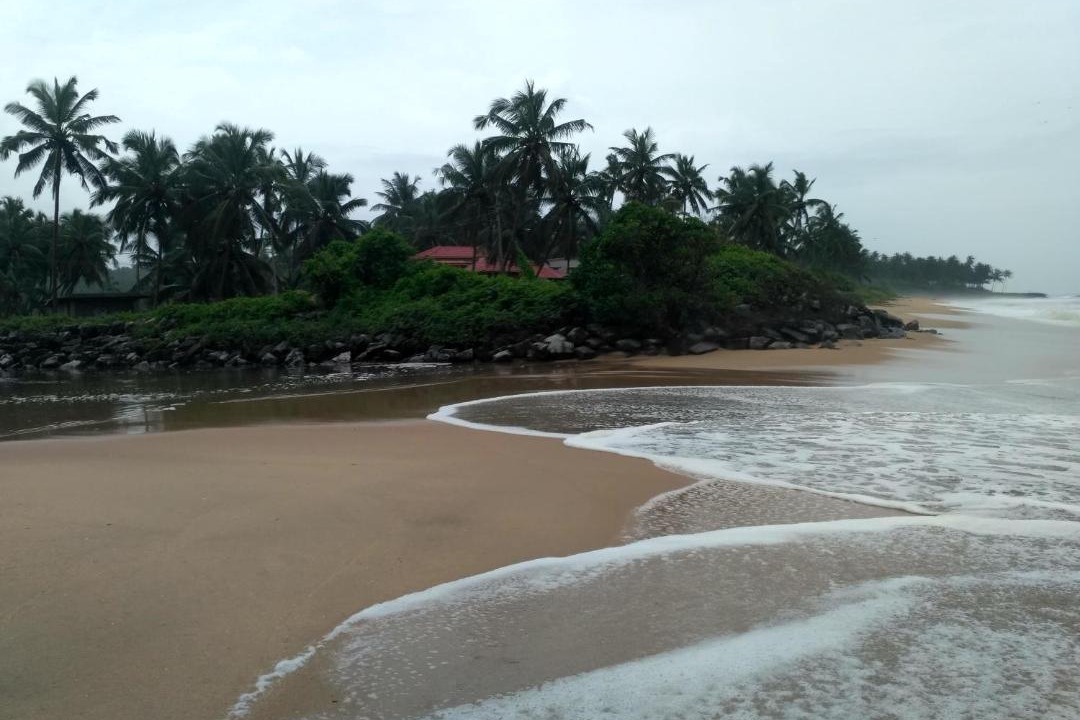 Photo of Others in Kannur