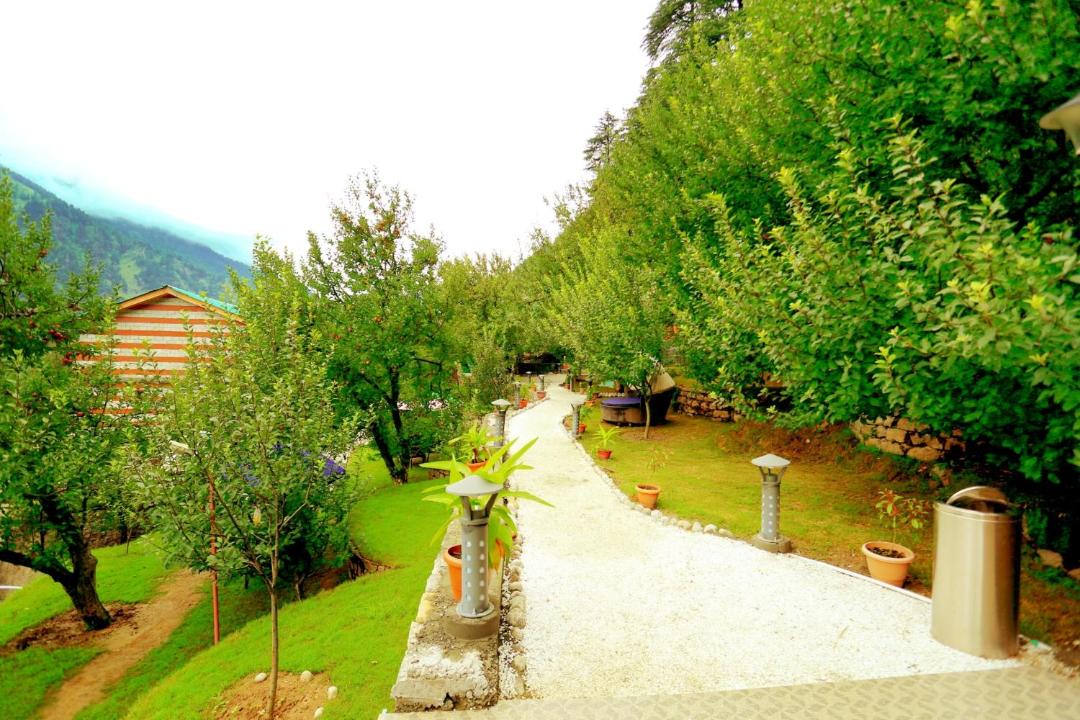 Photo of Others in Manali