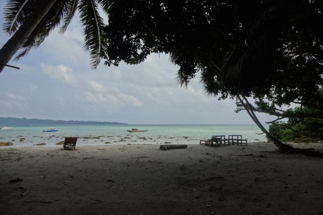 Photo of Others in Havelock Island