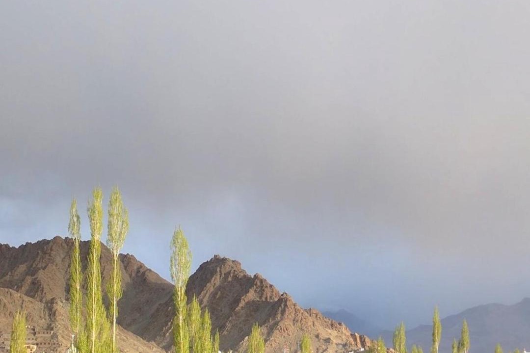 Photo of Others in Leh