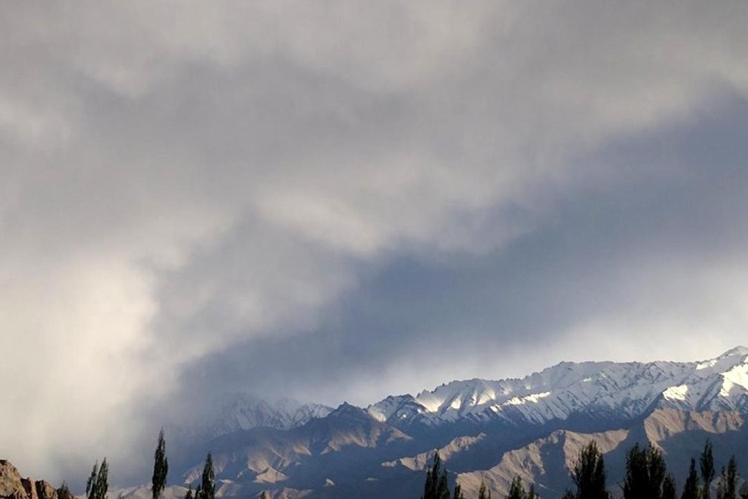 Photo of Others in Leh