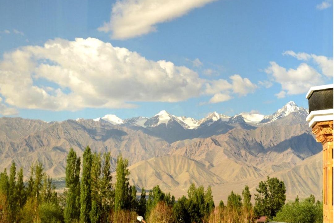 Photo of Others in Leh