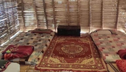 Classic Shared Dormitory