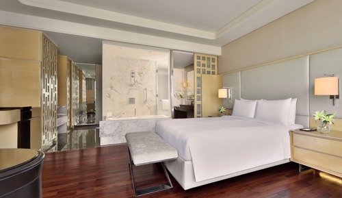Room, 1 King Bed