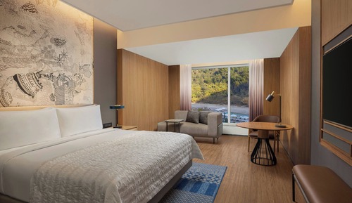 Premium Room, 1 King Bed, Pool View
