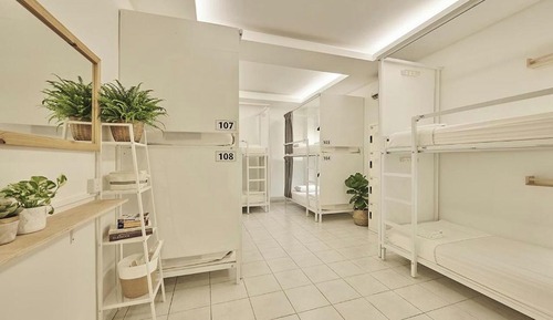 Shared Dormitory, Mixed Dorm