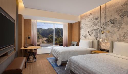 Deluxe Twin Mountain View