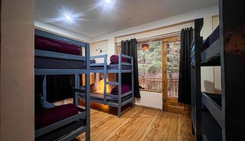 Bed in 8-Bed Dormitory Room