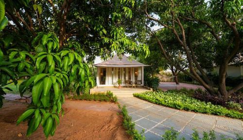 Double Room with Park View