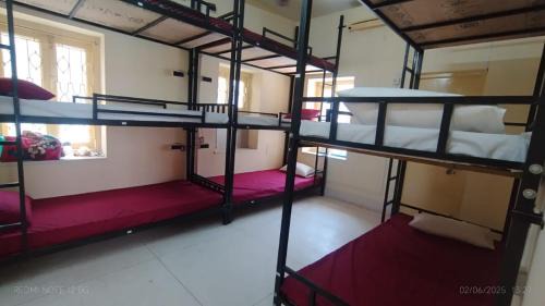 Bunk Bed in Mixed Dormitory Room