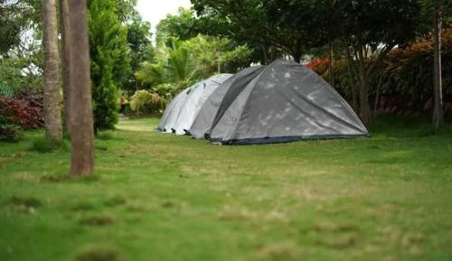 Tent