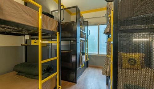 Bed in 6-Bed Mixed Dormitory Room