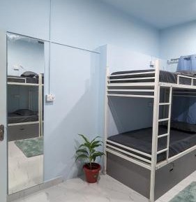Bed in 6-Bed Mixed Dormitory Room