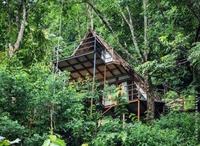 Standard Villa