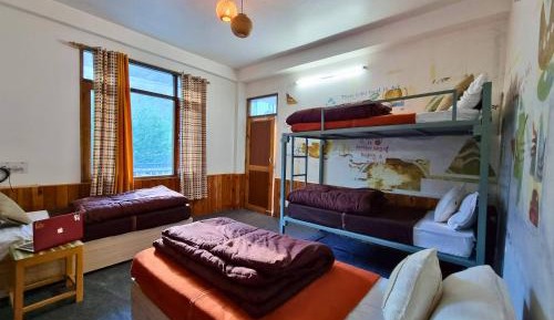 Bed in 4-Bed Mixed Dormitory Room