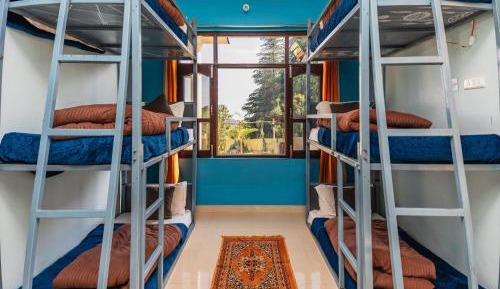 Bed in 6-Bed Mixed Dormitory Room
