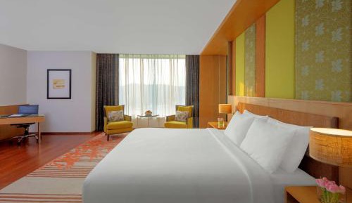 Junior Suite with King Bed with Bath tub , Lake View , Lounge Access ,Complimentary One Way Airport Transfer, 2 Pcs Complimentary Laundry , 15% off on Food & Soft Beverages and Pick up and drop from Kamakhya Temple  