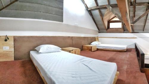 Bunk Bed in Mixed Dormitory Room