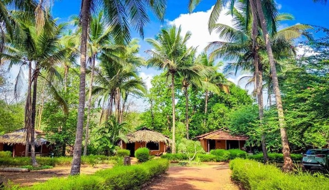 Natures Nest Goa